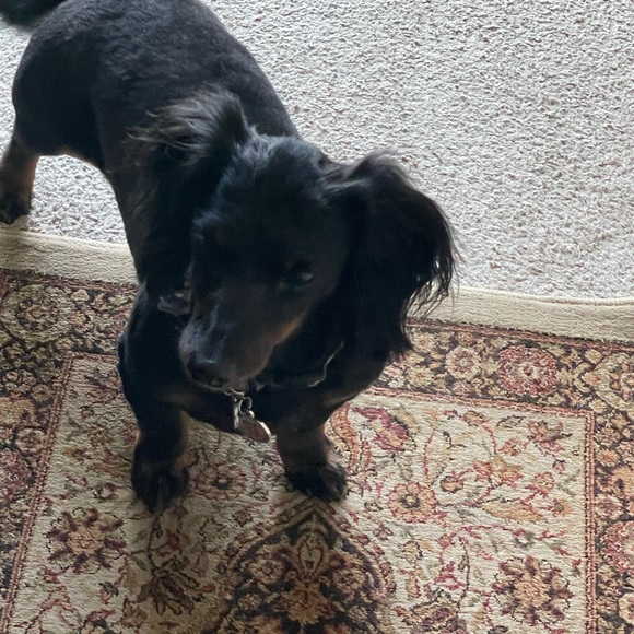 Do your part save the earth sell 2nd hand fashionable items. Stop by and say hi - Picture 8 of 14